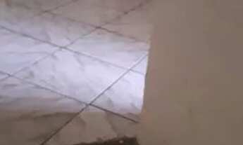 Imagem 4: Apartamento 3/4 1°andar, São caetano