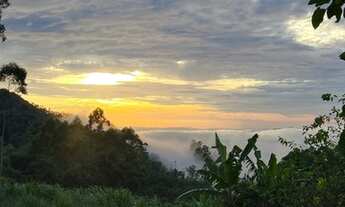 Imagem 4: Terreno para sítio