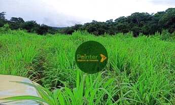 Imagem 2: Fazenda com 2 dormitórios à venda, 8712000 m² por R$ 17.100.000 - Zona Rural - Porangatu/G