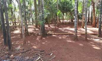 Imagem: Chacará a venda em Goianira