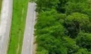 Imagem 2: Mini Chácaras, 2.500m2, Aproveite Valores de Lançamento!