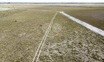 Imagem 2: Sítio à venda em Área Rural De Boa Vista - RR