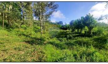 Imagem 6: Área Rural em Garibaldi: Chácara à Venda