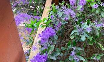 Imagem 6: Oportunidade 160mil casa bairro santana