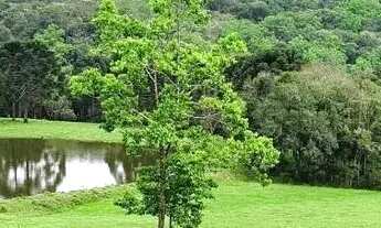 Imagem 5: Terreno para Venda em Nova Petrópolis, Linha Imperial