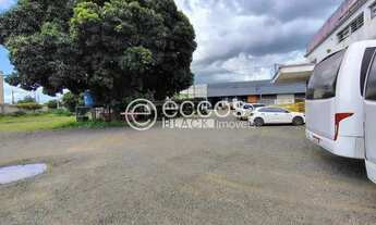 Imagem 7: Galpão para aluguel, Minas Gerais - Uberlândia/MG