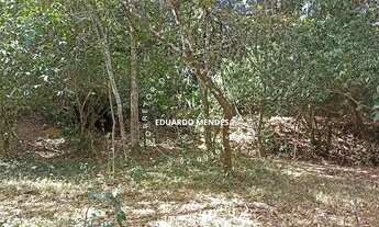 Imagem 6: Ótima área c/ 37.000 m² p/ loteamento de chácaras, 700 metros da GO 225, Corumbá de Goiás