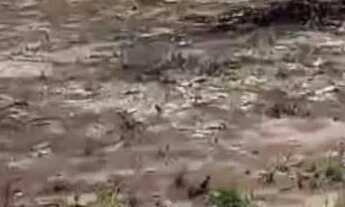 Imagem 7: Vende-se chácara c/ banho Próximo a Vila Recrear 40km de Boa Vista RR