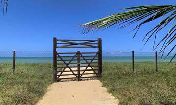 Imagem 4: REVEILLON | Natal