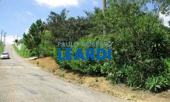 Imagem: AREA - LARANJA AZEDA - SP