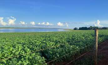 Imagem: Fazenda 178 alqueires região de inaciolândia-GO