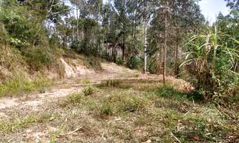 Imagem 4: Sítio do tio lima