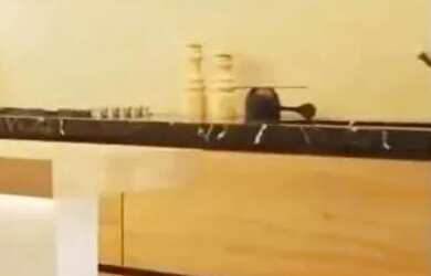 Imagem 11: Peninsula - $ Península Residencial Samambaia $ - Lançamento Sola de Aptos 2 e 3 qts