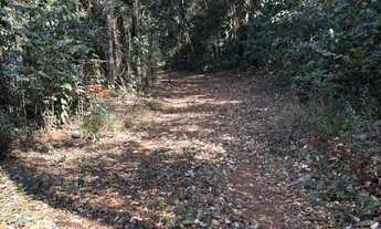 Imagem 4: 2 hectares Terreno / lote com venda por R$370.000