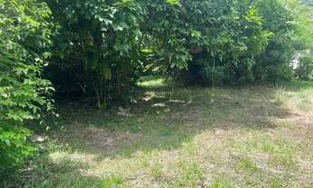 Imagem 6: VENDO SÍTIO COM TERRENO PLANO 4.000 mts ESTRADA DO PONTAL