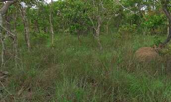 Imagem 2: Fazenda jaguar Fazenda / sítio com venda por R$2.700.000