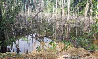 Imagem 5: Sítio 1.500 x 2.000 em estrada de Balbina 300.000