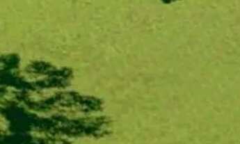 Imagem 13: Terreno para Venda em Cascavel, Brasmadeira