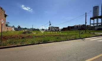 Imagem 7: Terreno à Venda - Terranova