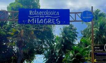 Imagem: Terreno já murado e com portão