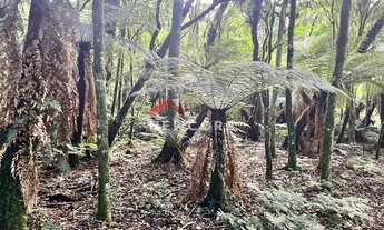 Imagem 6: Lote em Rua 21 - Alpes - São Francisco de Paula/RS