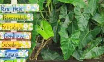 Imagem 7: Aluguel Chácara da Serra