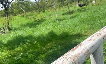 Imagem: Chácara em japonvar