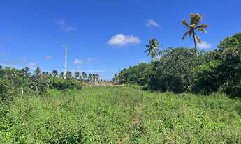 Imagem 3: Sítio em Piacabucu