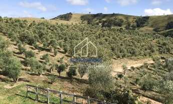 Imagem: Sítio à venda, Estrada do Pinhal Novo