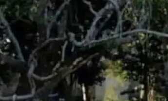 Imagem: Terreno à Venda em Itaúna Saquarema/RJ