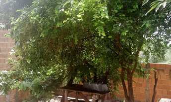 Imagem 4: Vendo casa no distrito do sucuri