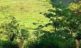 Imagem 2: Terreno com duas casas dentro, 86713 metros quadrados em Divino São Lourenço- ES