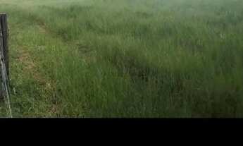 Imagem 4: SITIO 60 HECTARES 13 KM DE PORTO ESPERIDIÃO-MT