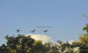 Imagem 2: IMPERDIVELArea em Ascenção Turística -Lago Manso