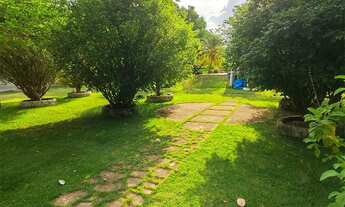 Imagem 3: Chácara de aluguel eventos