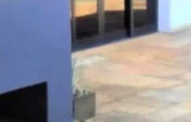 Imagem 4: Apartamento à venda em alemães, piracicaba 3 quartos 220m²