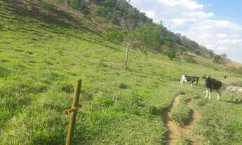 Imagem 2: Excelente sítio