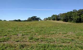 Imagem 5: Areá 84.000,00 m² CIC