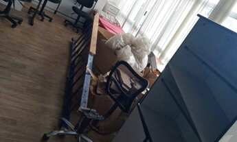 Imagem 7: PRÉDIO - VILA VALPARAÍSO - SP