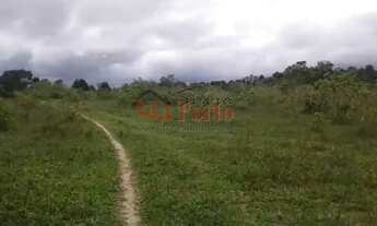 Imagem: Vende-se fazenda 55 Alqueirões baiano no