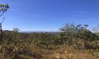 Imagem 5: Grande Oportunidade em São Jose do Almeida, chácara de 10.000 m² (Temos varias opções)