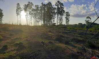 Imagem 7: CAPELA DE SANTANA - Terreno Padrão - Boa Vista
