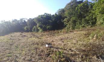 Imagem 2: Rolante - Terras / sítio/ Chácara 22.7 Hectares