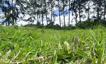 Imagem 6: M03-Apenas 800m² do asfalto