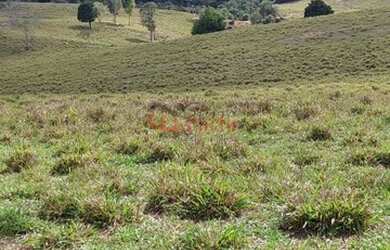 Imagem 4: Fazenda Pecuária no Sul da Bahia - OPORTUNIDADE