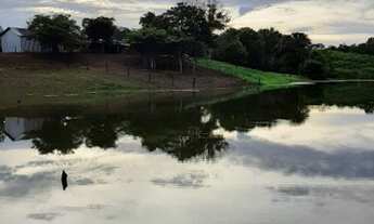 Imagem 6: FAZENDA À VENDA EM DUERE - TO - 435.6 HECTARES (DUPLA APTIDÃO
