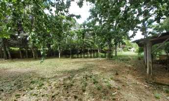 Imagem 6: Sítio com 2h, casa, galpão em Triunfo - Aceito casa em Canoas