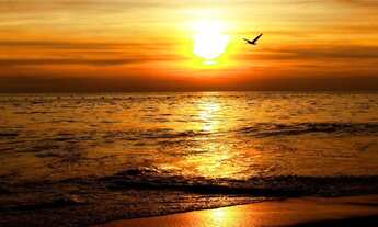 Imagem 7: Lote Top - próx. do mar ( Praia do Ervino) -Oportunidade