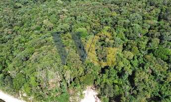 Imagem 6: Terreno para Venda em Campo Largo, Faxina