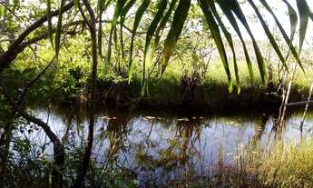 Imagem 4: TERRENO RESIDENCIAL em SUBAÚMA - BA, Entre Rios